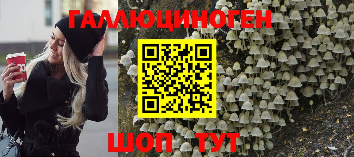 Галлюциногенные грибы мицелий Малоярославец