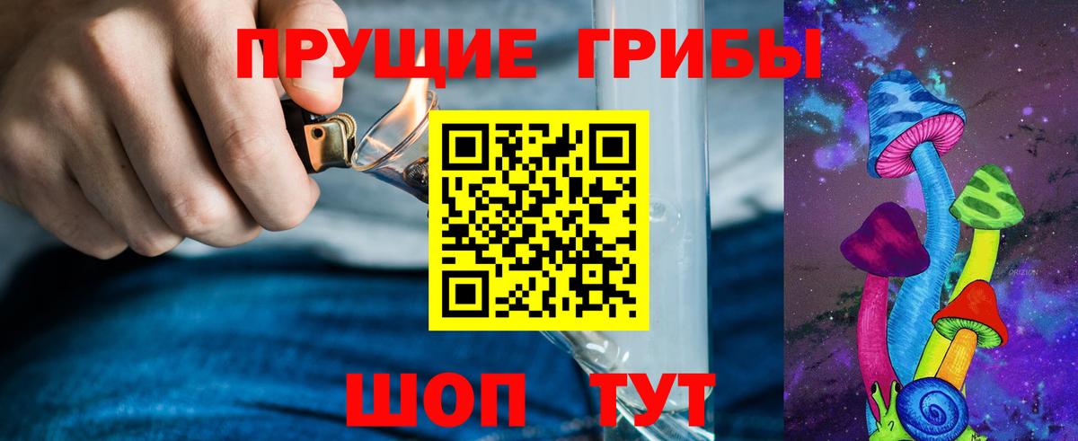 Малоярославец  Псилоцибиновые грибы прущие грибы  Вход с VPN 